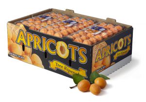 Apricot-FancyBox_8466_2.jpg