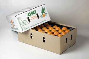 Apricot_GenericBox_8406.jpg