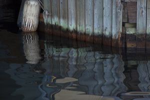 WaterReflections_6994.jpg