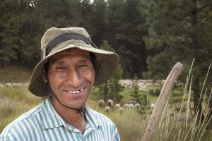 Sheepherder_Blewett.jpg
