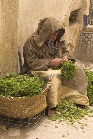 Morocco2_MarketGreens_Web.jpg