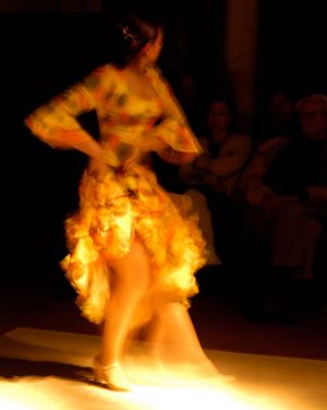 Spain1_Flamenco_Web.jpg