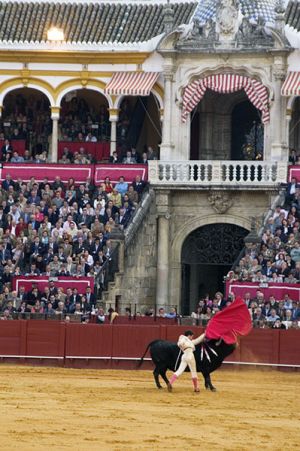 Spain_BullFighter_Web.jpg